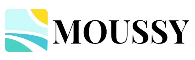 Moussy Sales