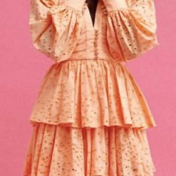 Hot Sale 🧨 Acler Amelia 👗 Dress in Apricot - 👩 women 🌟 -Moussy Sales 57974aa892194b49b12d3d92ec038267 abbbbd24 092d 427f b0b9 6d50a33341e8 1080x